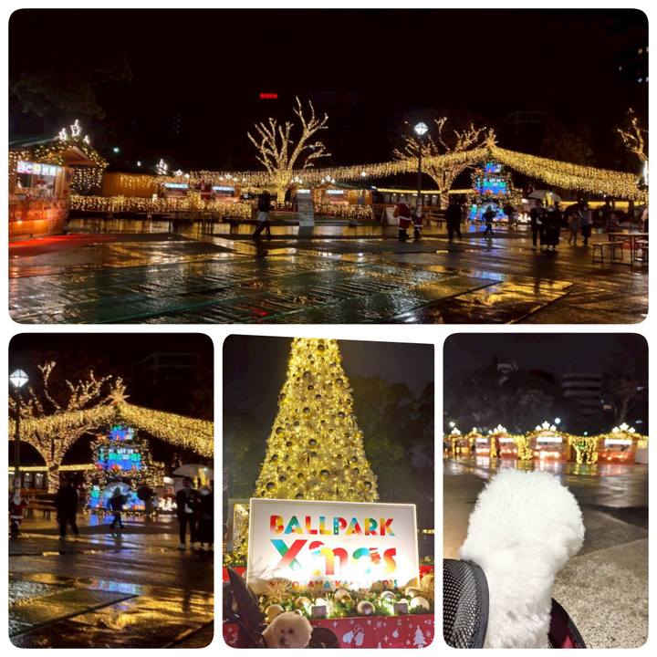 Ceb4c4a9 1c9b 40c1 9713 51d07142b9b4 1765707868100