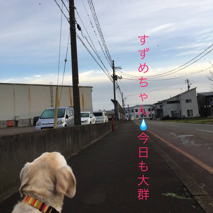 Ceb4c6eb 1338 4cf4 9d15 390d28435fd3 1567248863787