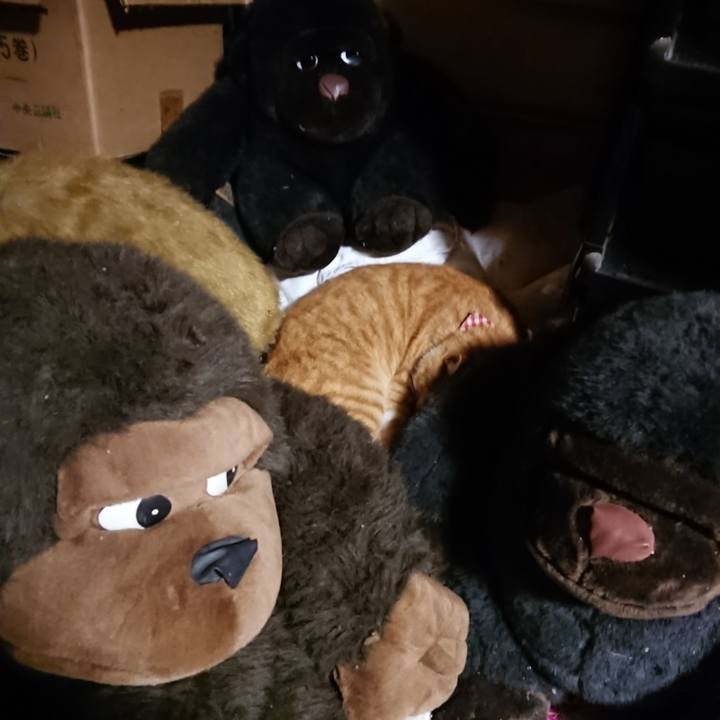 Ceb4d2f4 cd1b 47a5 9b1e e1cad267b43c 1603373161645