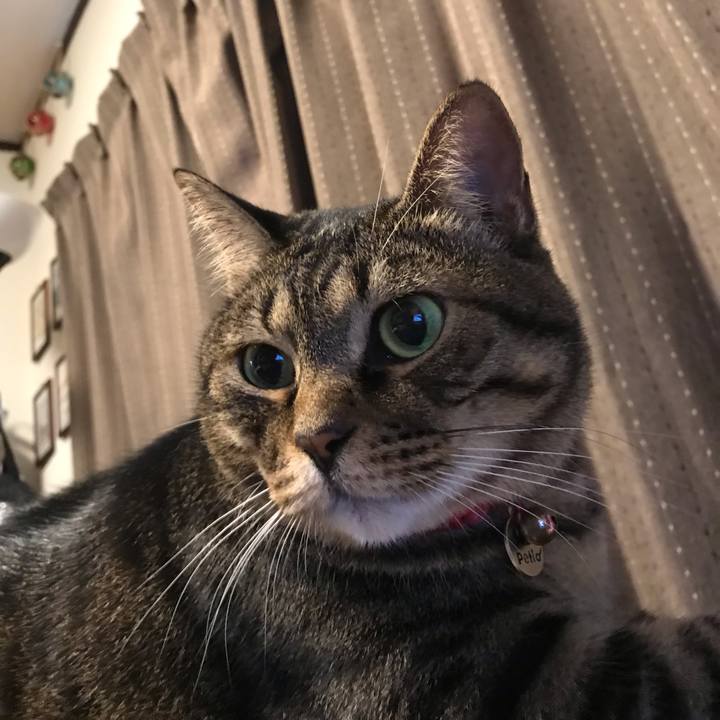 Ceb4e31b f2a0 4cda a1b6 565583fd4055 1566649012635