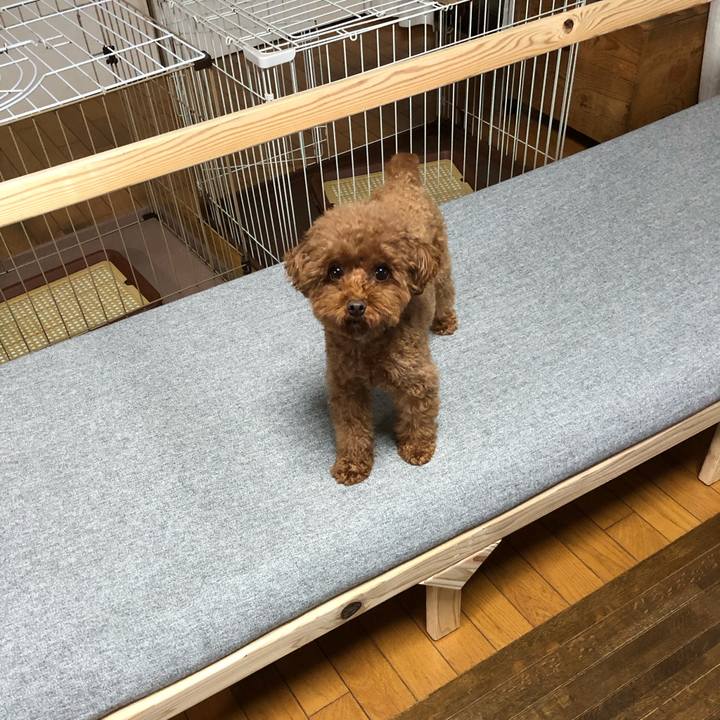 Ceb531be 96b3 4f00 bce6 802a2c367c23 1572269962636