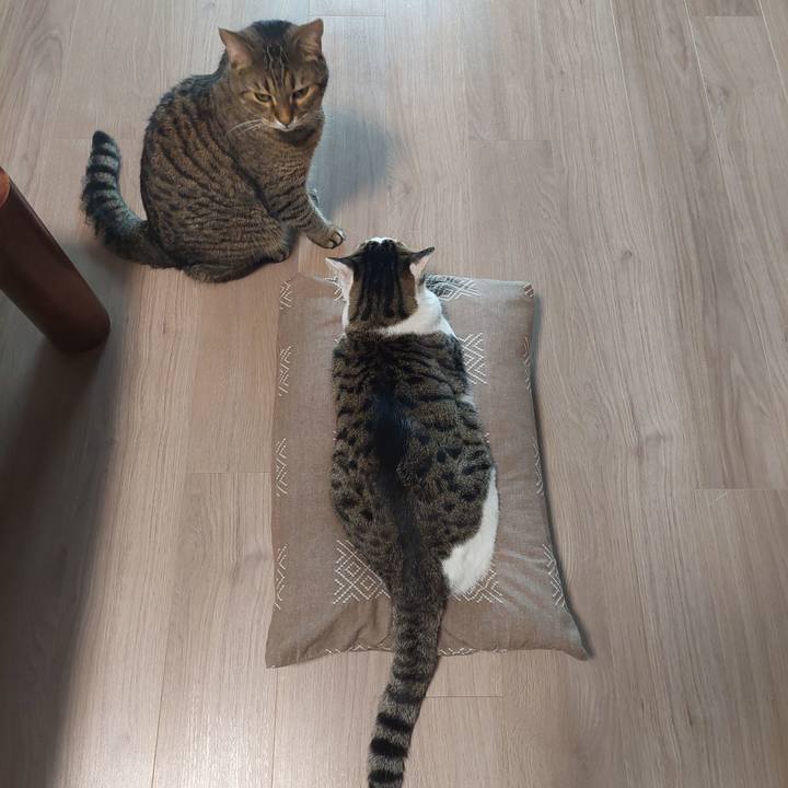 Ceb54558 3da1 4429 8419 6c42335d4017 1663017472088