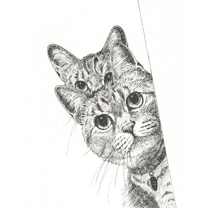 Ceb57af1 e6b4 481f 8a38 1c5b07505b11 1568300109665