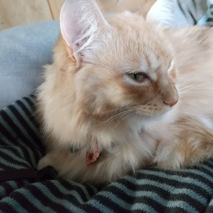 Ceb61abe 9f3b 48d5 836e cdcd122d787f 1644623220255