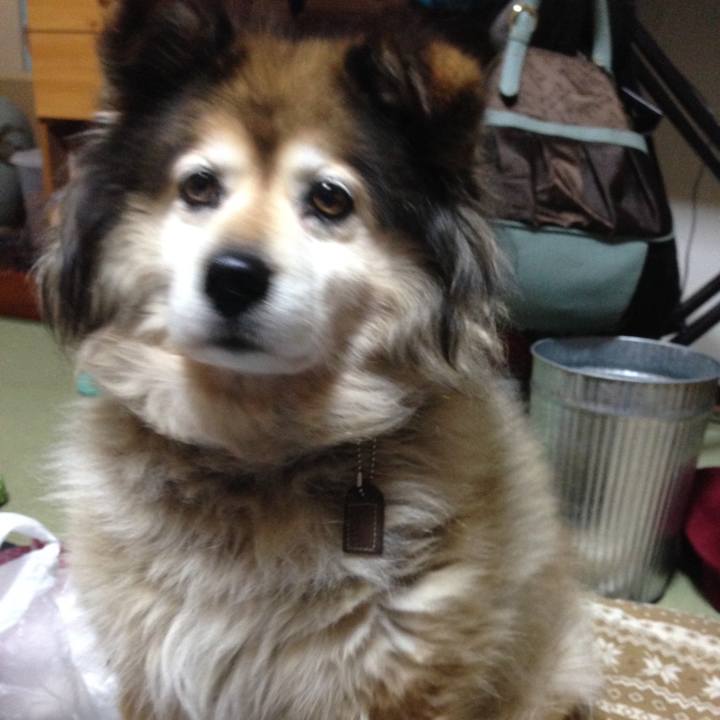 Ceb6898e 4213 49dd 9cf0 5ef2efaaa6f8 1564459408056