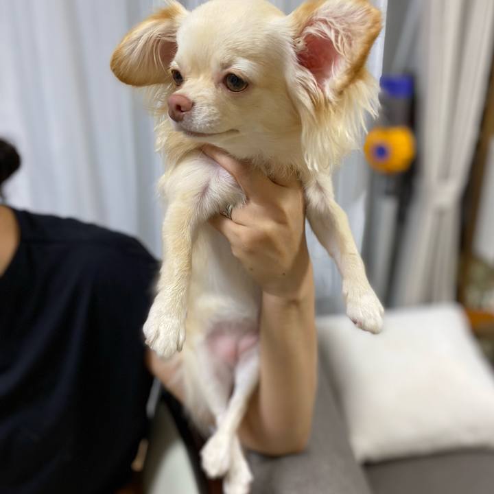 Ceb68db3 9482 43d7 83c0 f3ee29ab61f7 1625705508861