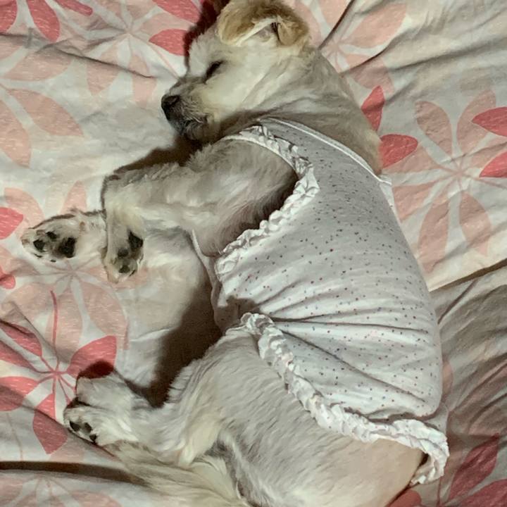 Ceb69d78 1d71 4e58 bfa7 b2feb638dc2d 1570540478166