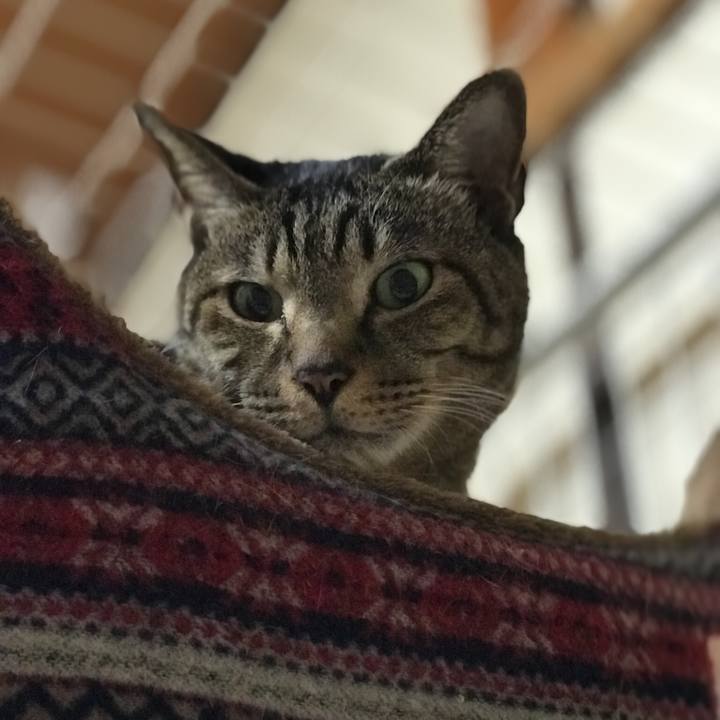 Ceb6a382 737a 42ea 91f0 ee46d34a8e76 1518226020153