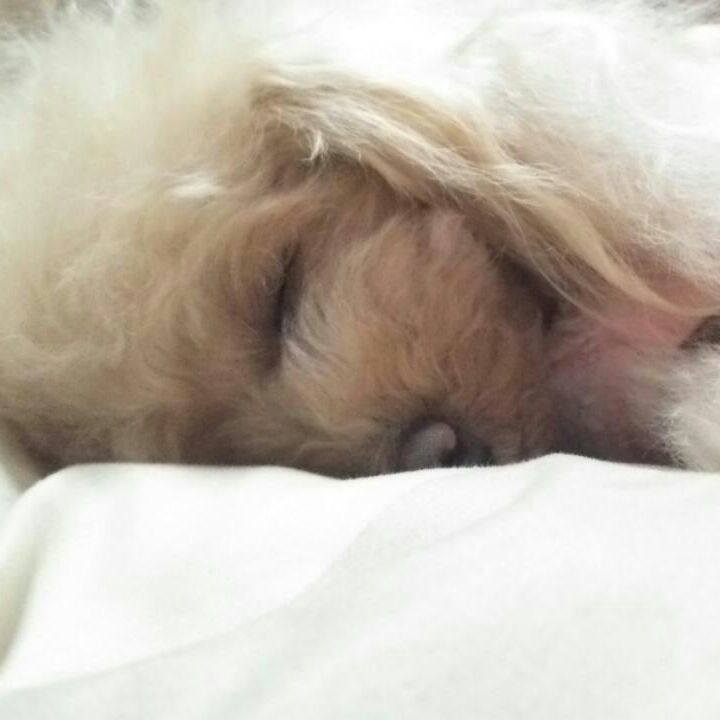 Ceb6a3b9 ceff 4f03 876f dd031b77f611 1548249505840