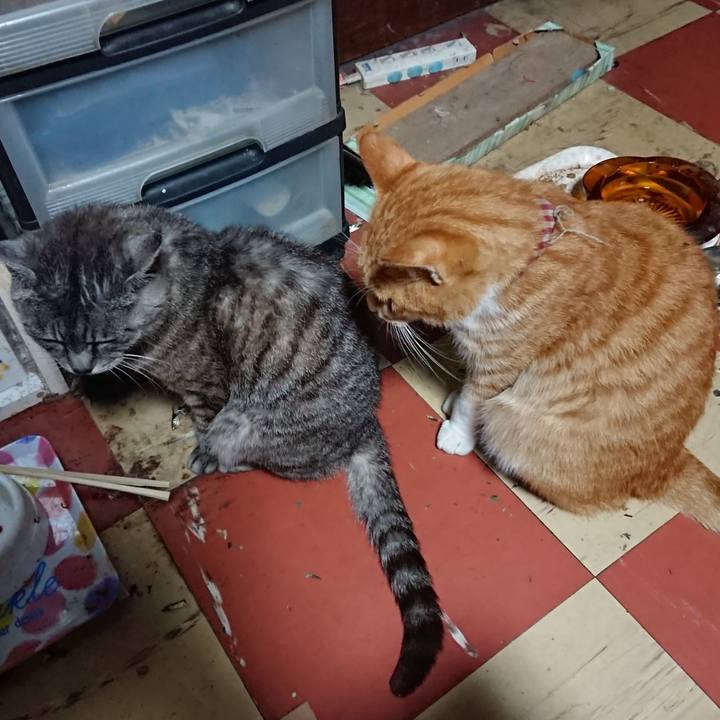 Ceb6a7fe da41 419f b50b cd624e849441 1567626121742