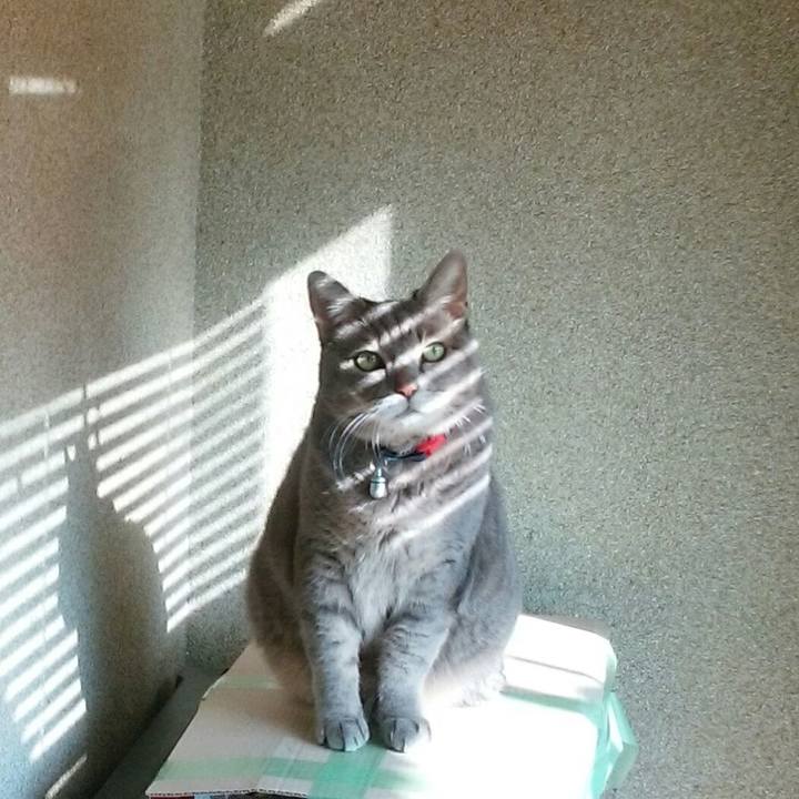 Ceb6bf2e cbd1 4b0c 94b8 89b26d536057 1543631584802