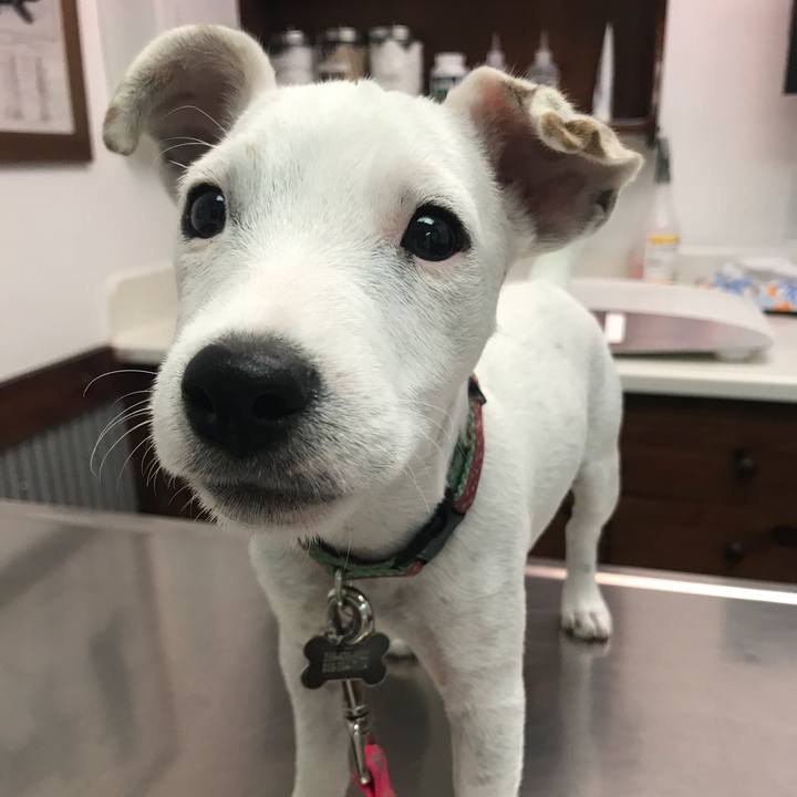 Ceb6bff8 2fe3 4dee a4fd 83107aef3ca5 1535067206183