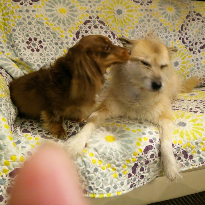 Ceb6fb03 6f0d 4598 88b4 5cd28fc364df 1539505144174