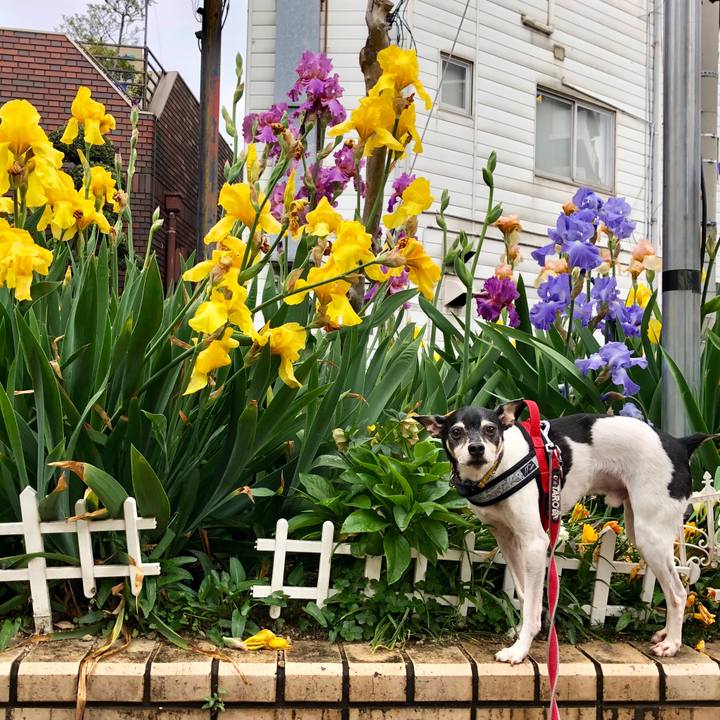 Ceb73b2d c38b 428c 8f12 a488513cb6b8 1556230837739