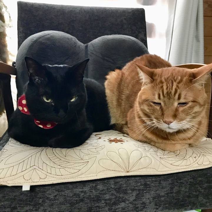 Ceb73fcc d5f6 4c08 8bf5 7d383e217973 1524445942252