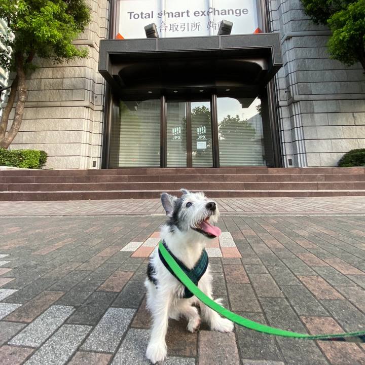 Ceb7409b 54af 4d59 b5cc 49a876b390d7 1597794609785