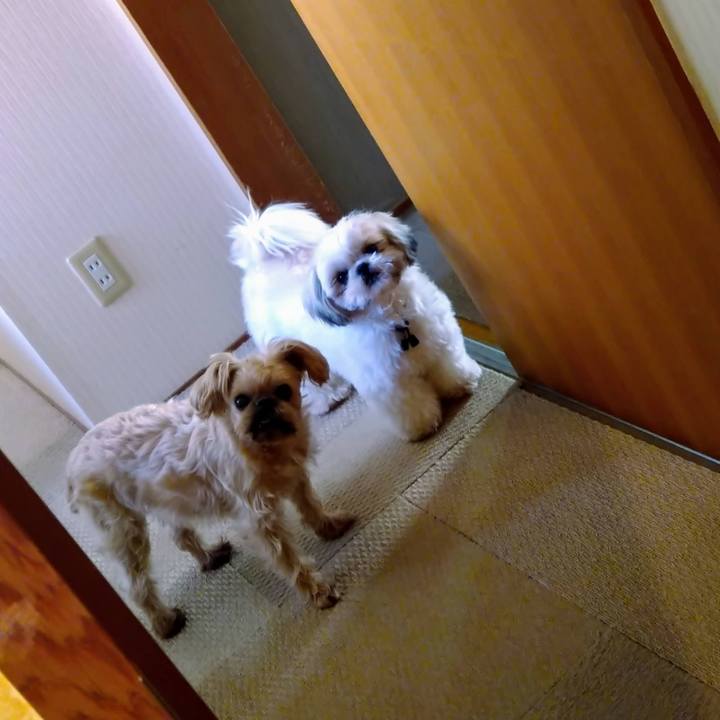 Ceb764e6 3a89 4813 a7c0 1417e43c14f9 1613607455369