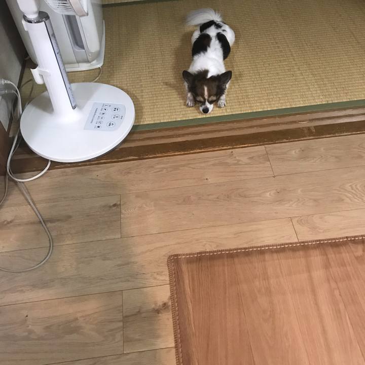 Ceb764f2 2447 4cfd bd95 a10b12db9412 1538830104130