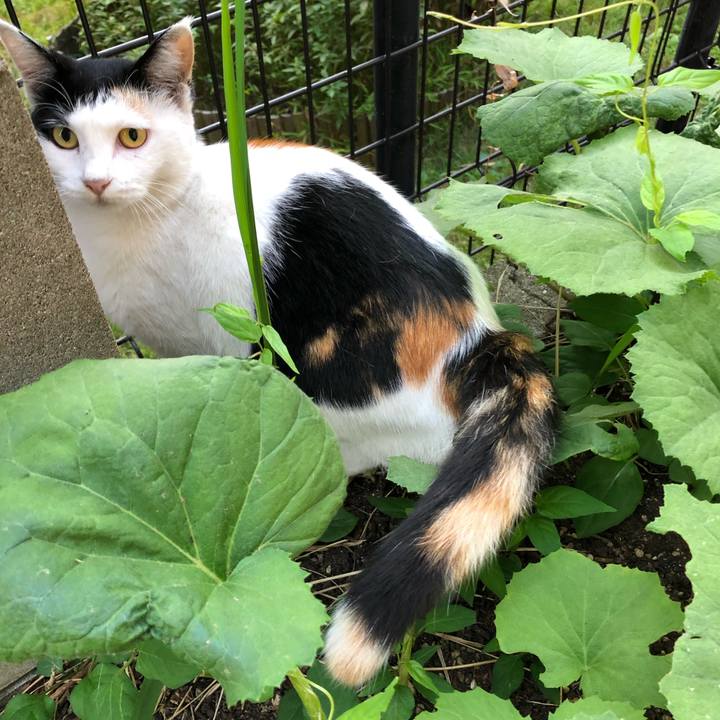 Ceb771d1 1d3b 4747 a1bb db20a14aace2 1602455440479