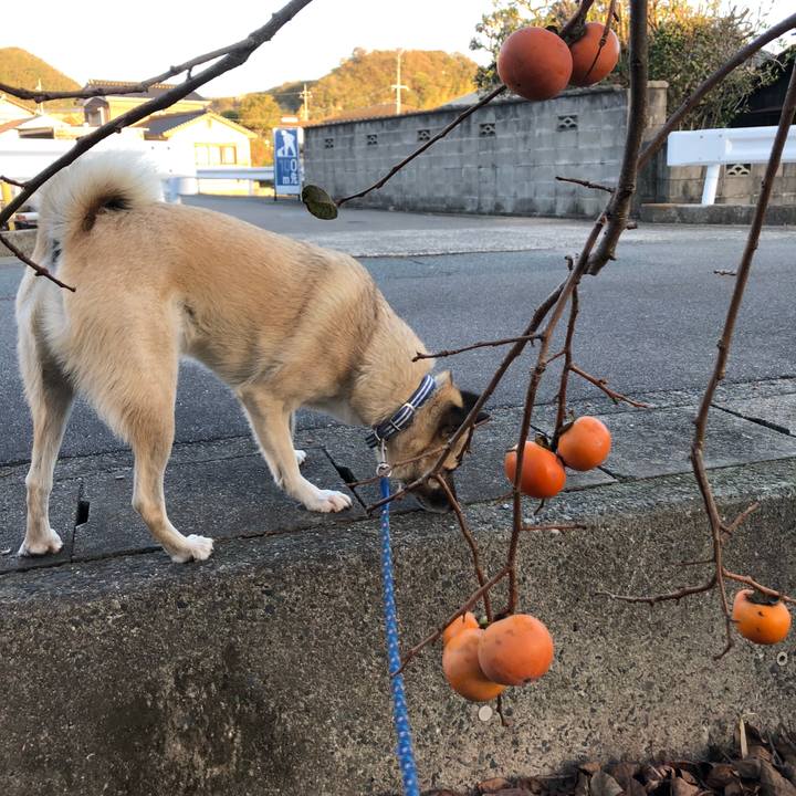 Ceb7790c d86d 43eb 87ae c63c5d07fd00 1604927896517