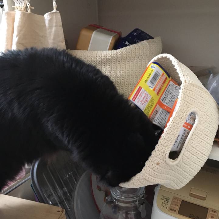 Ceb78d16 4dd1 4b01 a499 7b81190dcdbc 1515142989976