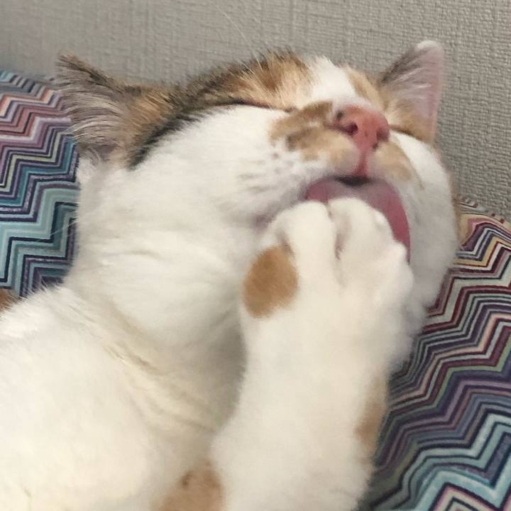 Ceb7b40d b6c5 41f0 ac82 1dcb2af71179 1576996149115