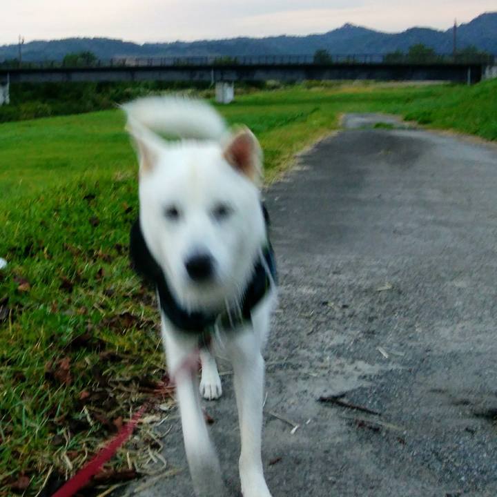 Ceb7bdfb 7d2b 4bef aae1 b772fef253b7 1523959405629