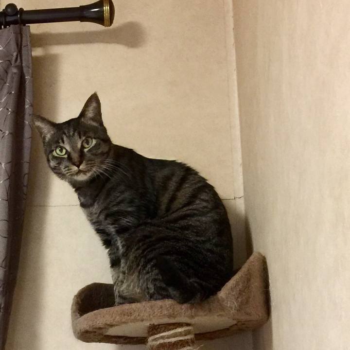 Ceb7e1b3 43af 48d3 8d71 2e83931aed67 1559438005324