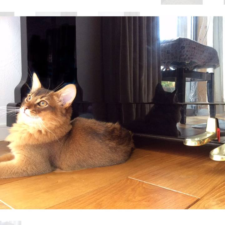 Ceb7ea8f d9c6 4280 9a91 bb84669577d1 1575766499375