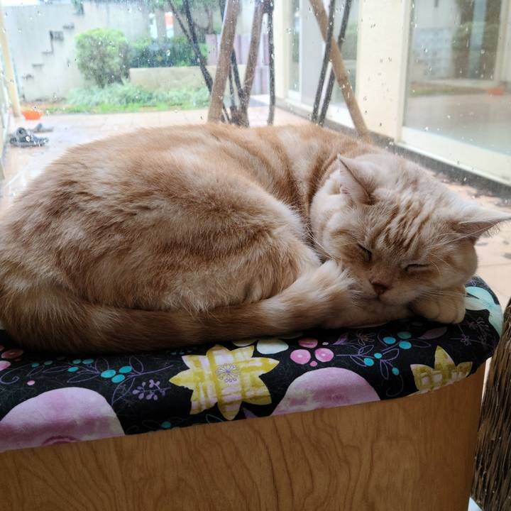 Ceb84a5d b2c2 4b5a b8bf 1085b5c3135a 1603432812013