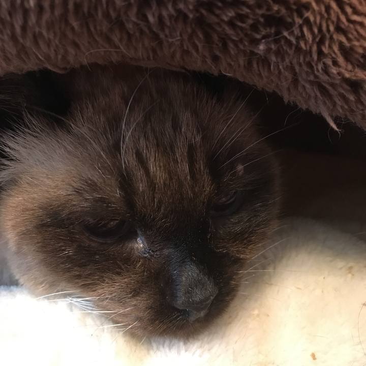 Ceb85f04 fa47 4994 8b8f 62512f0d80c2 1517097855342