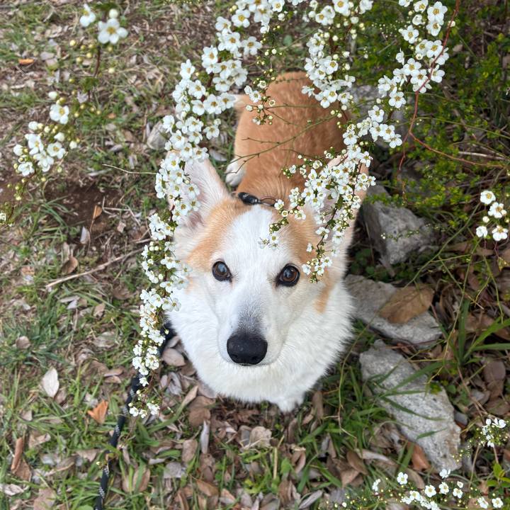 Ceb869c0 d459 4e09 8561 64d9f496a88f 1773372606016