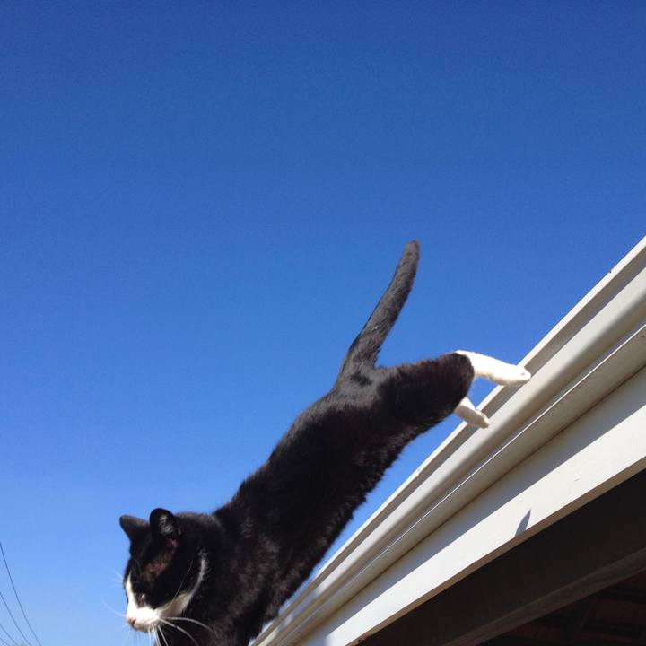 Ceb896fc a64d 49df 8bf8 2ebdd001ca7f 1508402647485