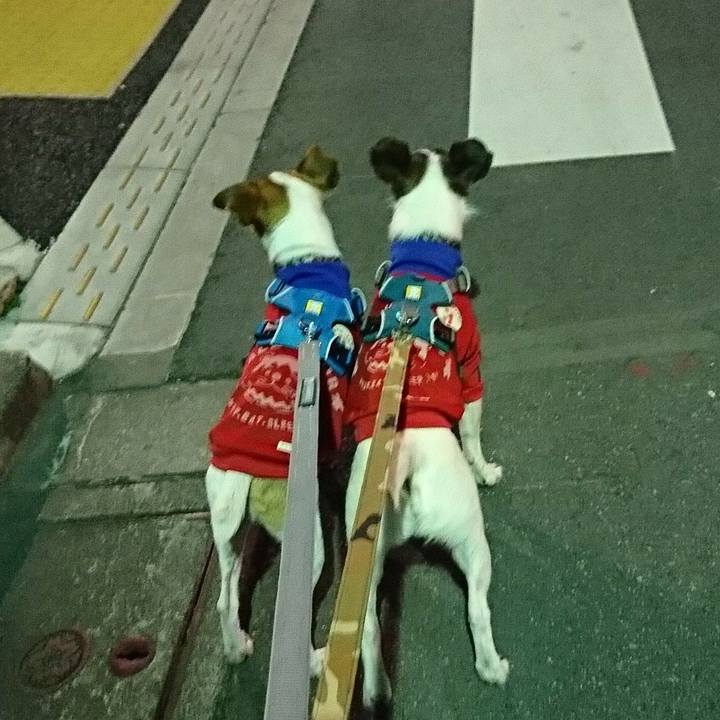 Ceb8c4a1 2825 4bf5 bf52 3df7265f9cae 1543153172268