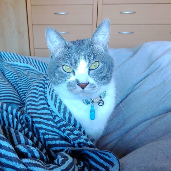 Ceb8ebda fbe8 4770 96bc 0480a8581c02 1701571393134