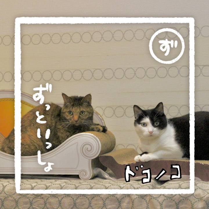 Ceb90d7e 5a74 4f9f a33b 6f1d23042ad2 1685971991024