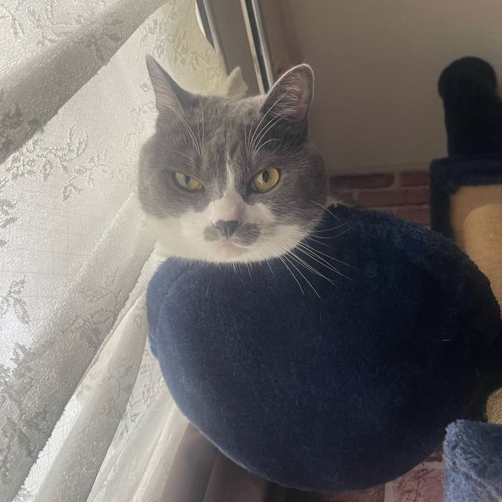 Ceb91155 b4f9 4384 93b5 35855e868c05 1728427466355