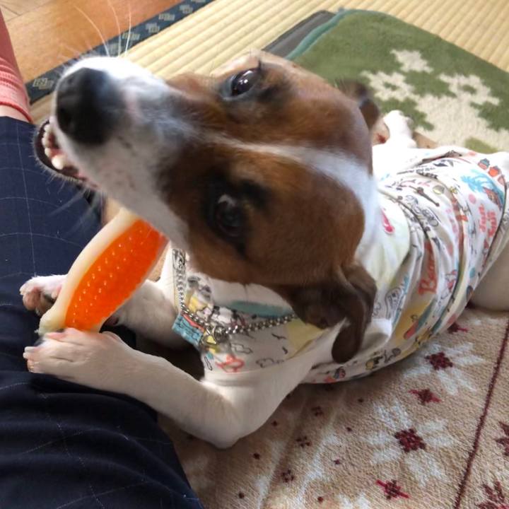 Ceb94af9 47a2 4e06 8ce7 2e78e90f191a 1567639269480