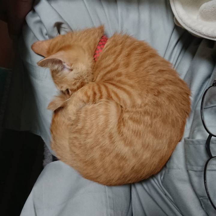 Ceb9960d a880 4e90 9114 9777836e7dc4 1632780074638