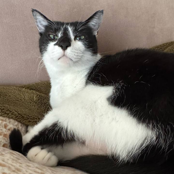 Ceb9a1b3 2175 4474 b145 f1abdc3edb1f 1769918527870