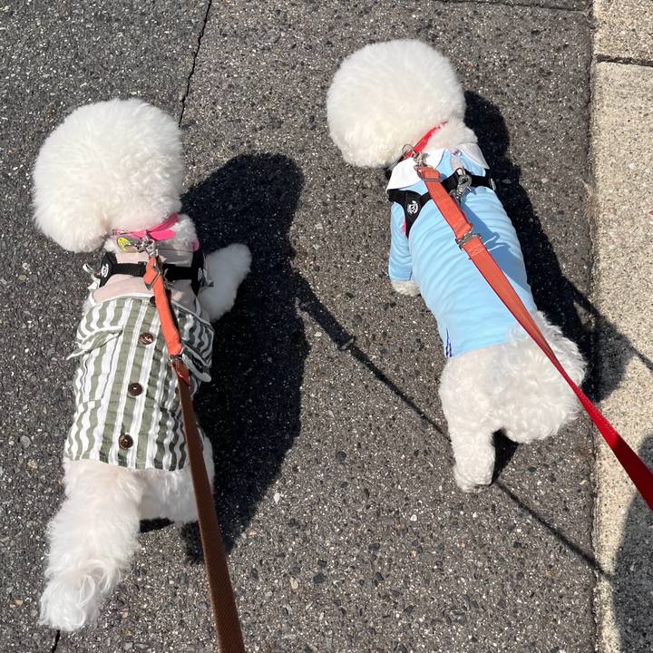 Ceb9b665 17a2 408e 8269 3dad8d2740a6 1713062492361