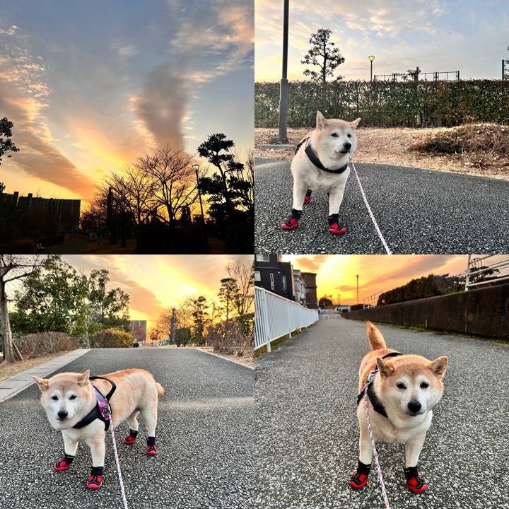 Ceb9daaa a329 45a1 8f7d 00936a439e49 1735201655258