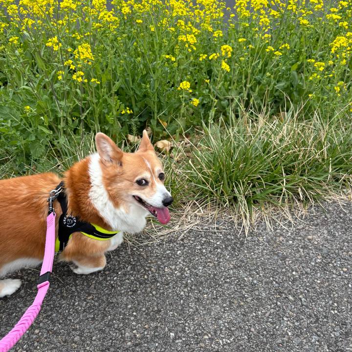 Ceb9f7f6 21ed 47df ab98 7c375fa6494c 1742782440061