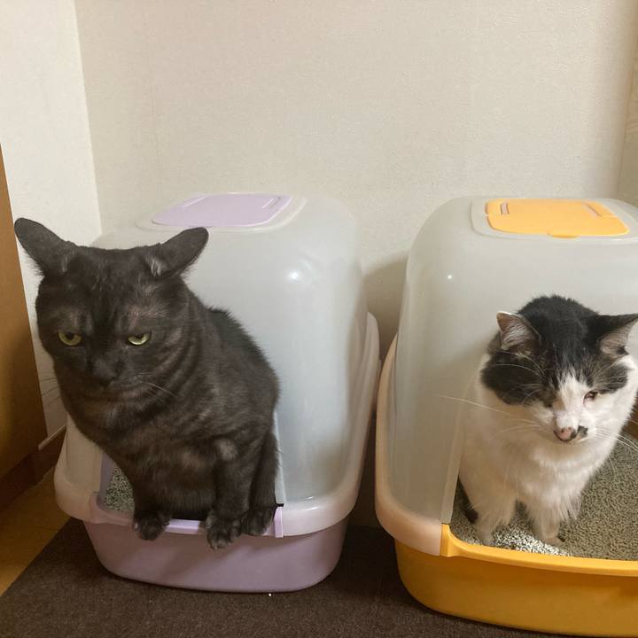 Ceb9fca7 082f 4f38 813e 5139040c96bf 1705964928825