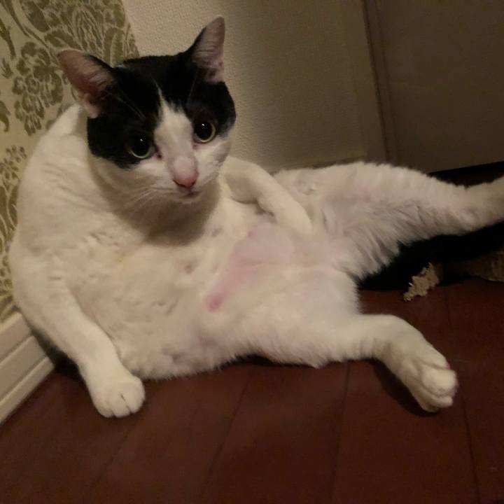 Ceba6d16 92bb 434b b905 6f5be1c2eb55 1551410022230