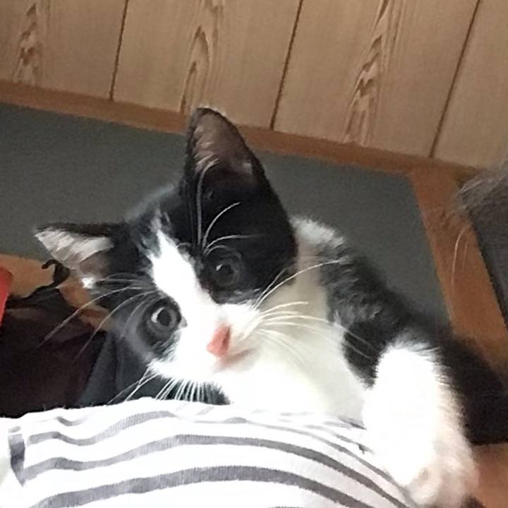 Ceba9023 d0ef 4898 858d 4ad651842fb2 1624060527001