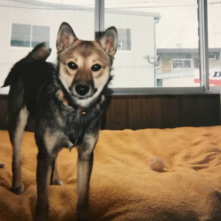 Ceba9c16 bf17 43e3 ab66 99d7f753d254 1515336770913