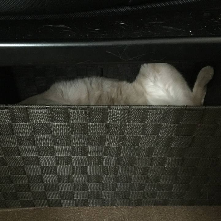 Cebaa376 a9bc 46c4 8de1 918bc47e84ab 1532391742730