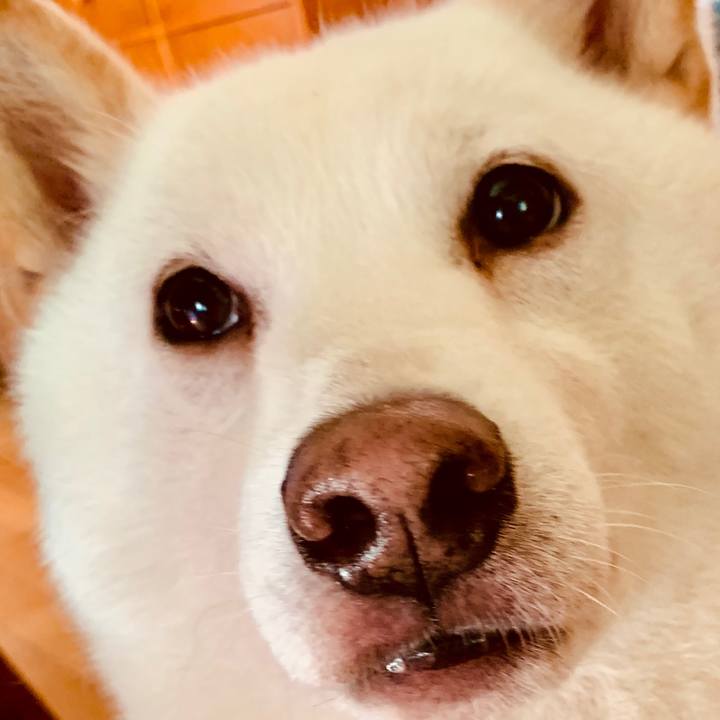 Cebaaf0e f9a7 472c b9c9 088f4e4bd84c 1682114942393