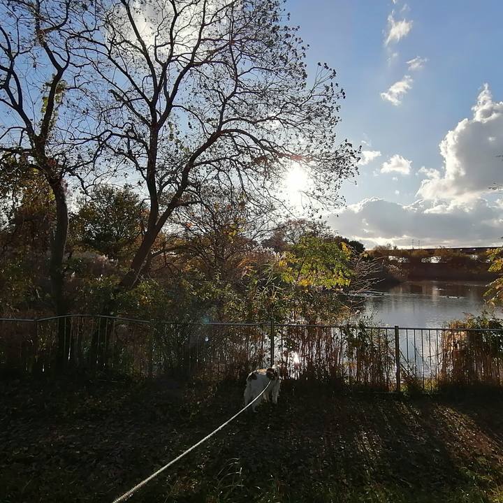 Cebab29b 8755 4dd0 b402 59c69a7006e1 1606636946695